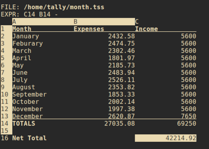 a screenshot of tally showing monthly expenses and income with a calculation for net total